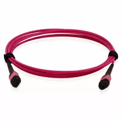 MPO 12 Fibers OM4, MPO-12 Female to MPO-12 Female, Magenta, Type B,